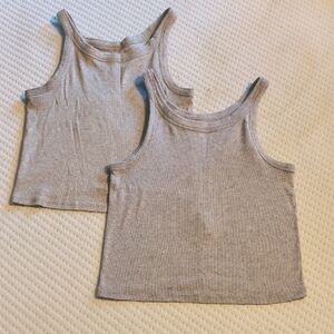 Everlane Heathered Cotton Crop Tops